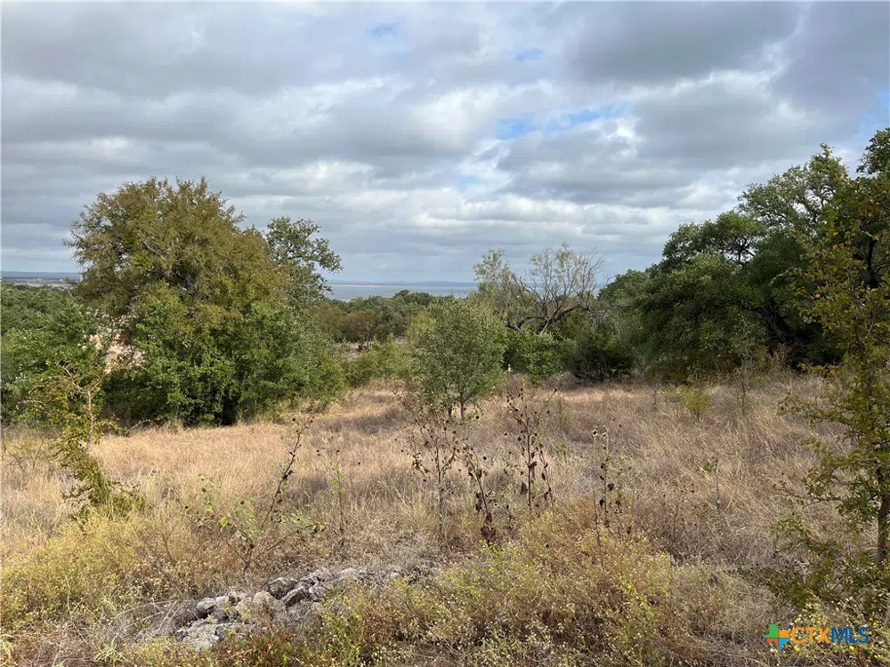 36 Keystone Ridge Buchanan Dam, TX 78609