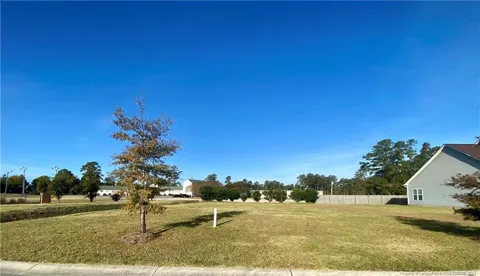 Cy Williams Boulevard