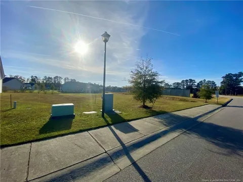 Cy Williams Boulevard