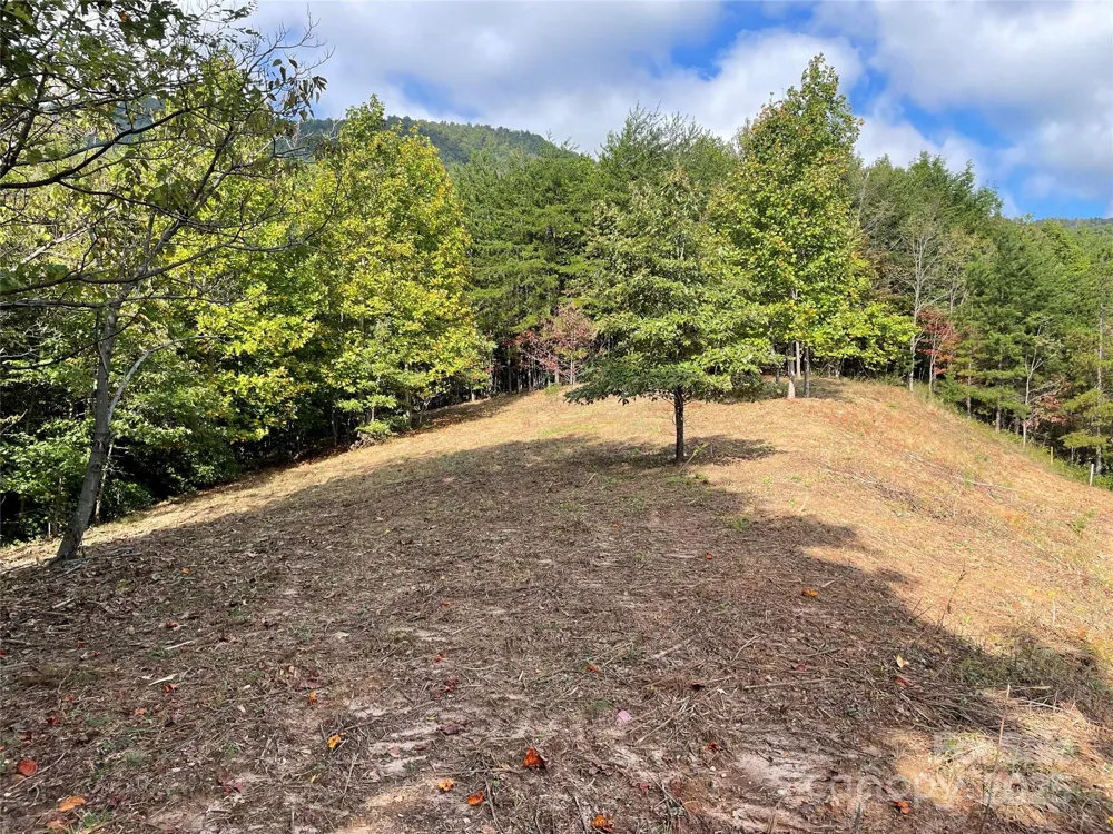 00 Birkdale Drive #159 Mill Spring, NC 28756