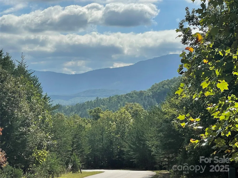 00 Birkdale Drive #159 Mill Spring, NC 28756