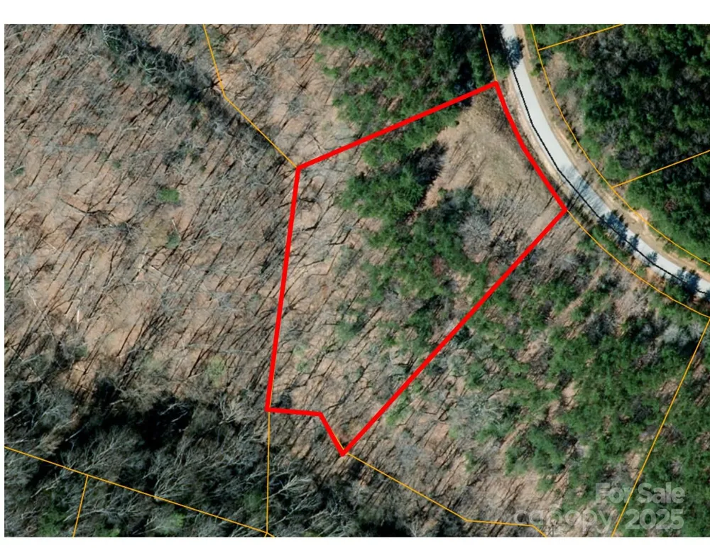 00 Birkdale Drive #159 Mill Spring, NC 28756
