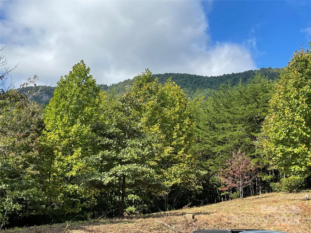 00 Birkdale Drive #159 Mill Spring, NC 28756