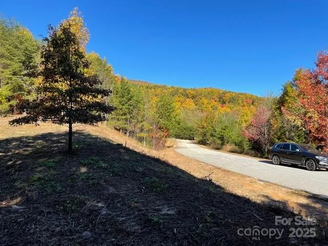00 Birkdale Drive #159 Mill Spring, NC 28756