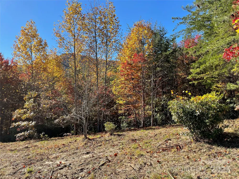 00 Birkdale Drive #159 Mill Spring, NC 28756