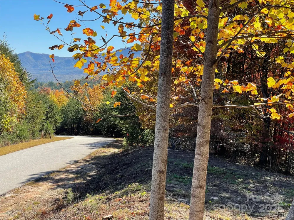 00 Birkdale Drive #159 Mill Spring, NC 28756