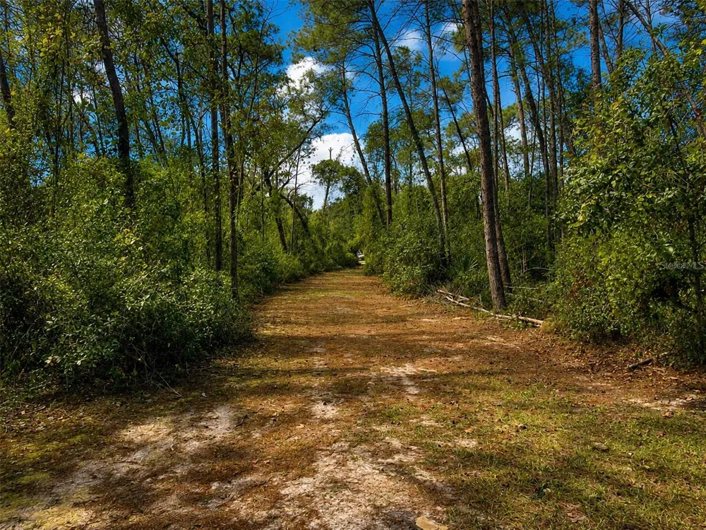 0 5TH STREET Altoona, FL 32702