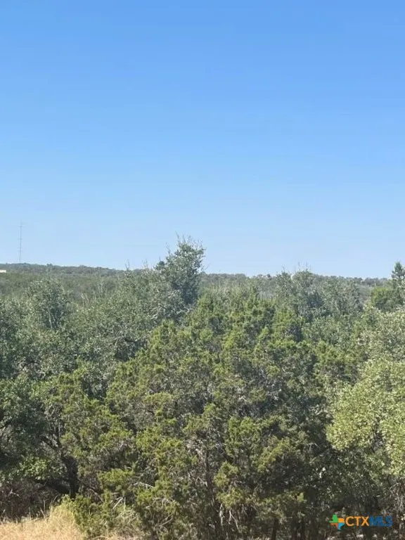 1585 Hilltop Ridge New Braunfels, TX 78132