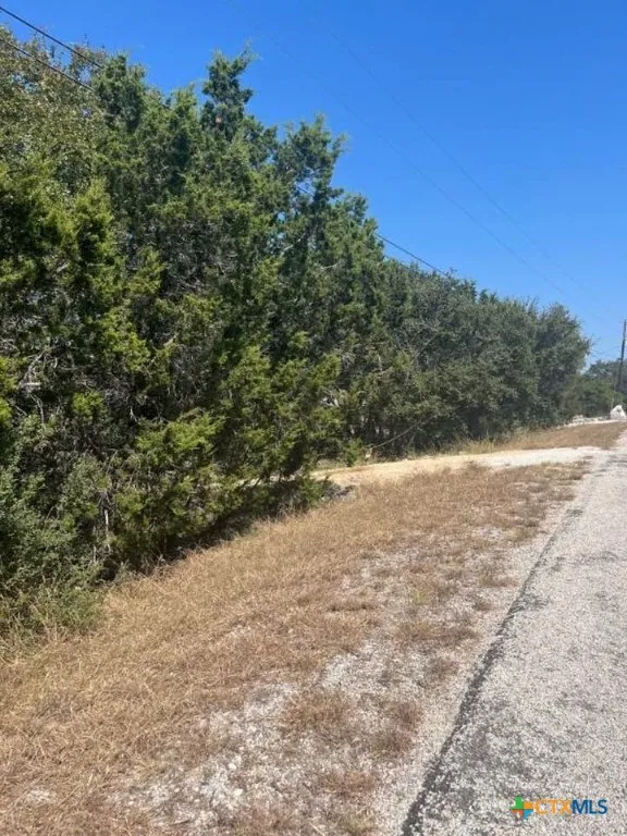 1585 Hilltop Ridge New Braunfels, TX 78132