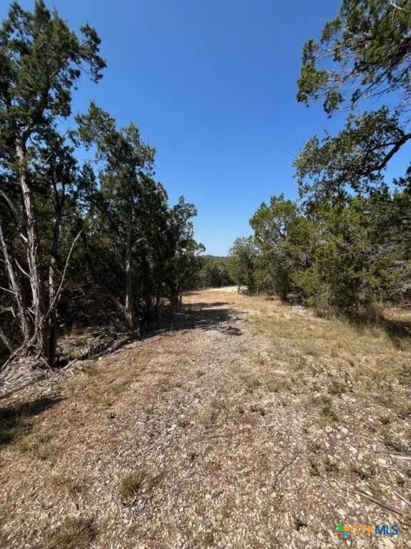 1585 Hilltop Ridge New Braunfels, TX 78132