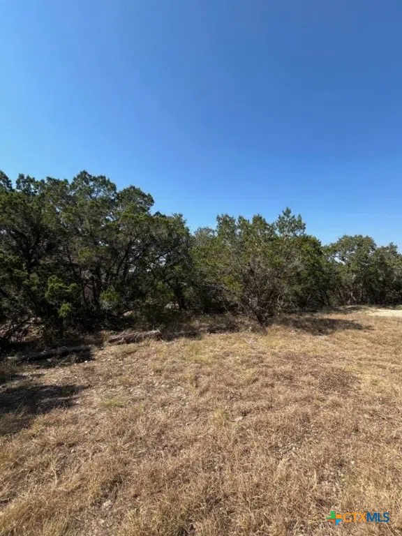 1585 Hilltop Ridge New Braunfels, TX 78132