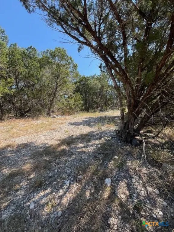 1585 Hilltop Ridge New Braunfels, TX 78132