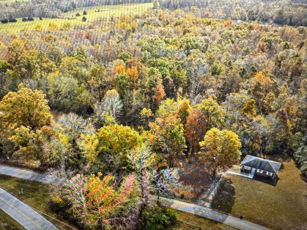 1402 Moore Lane Southside, TN 37171