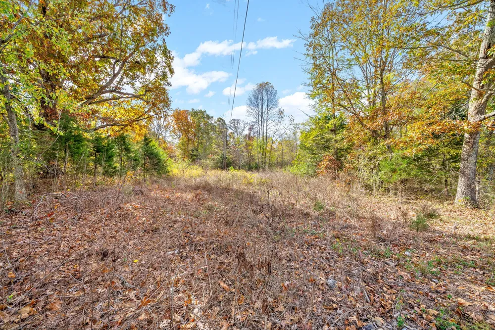1402 Moore Lane Southside, TN 37171
