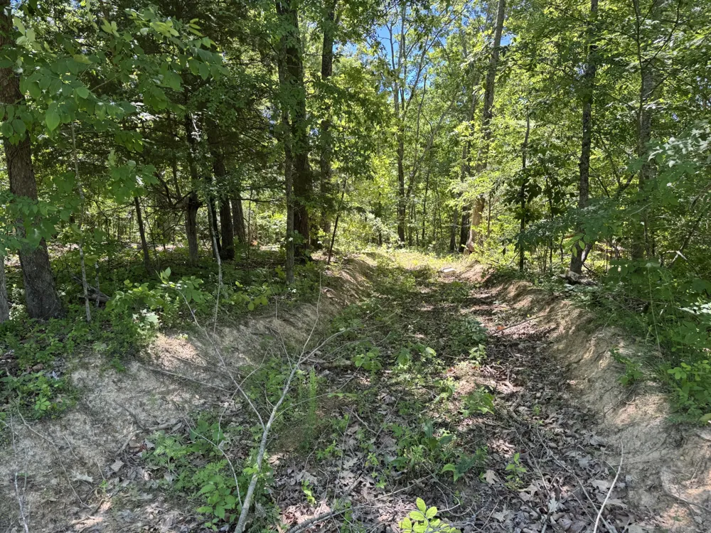 1402 Moore Lane Southside, TN 37171