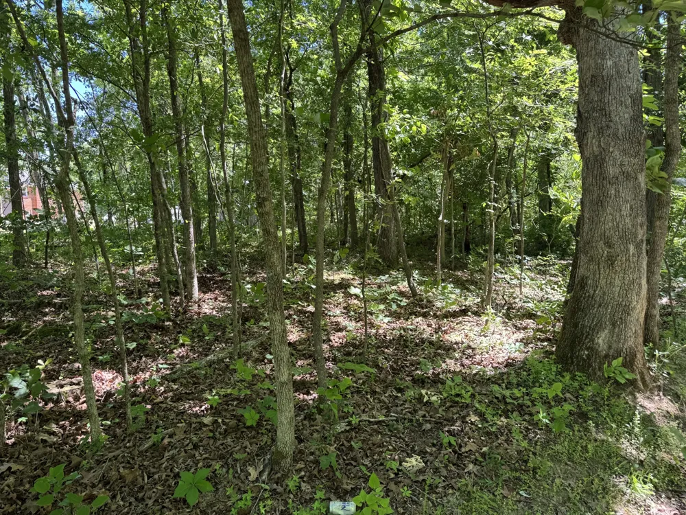 1402 Moore Lane Southside, TN 37171