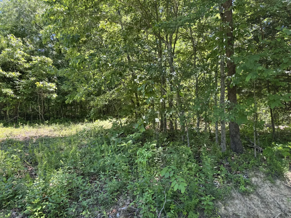 1402 Moore Lane Southside, TN 37171