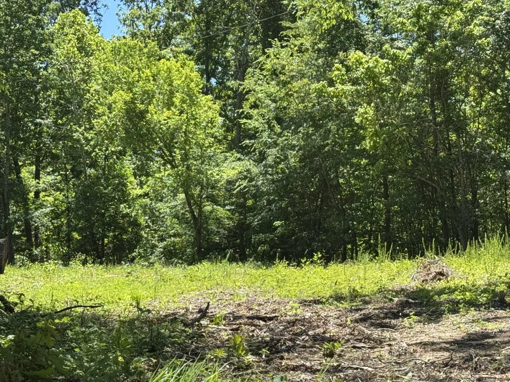 1402 Moore Lane Southside, TN 37171