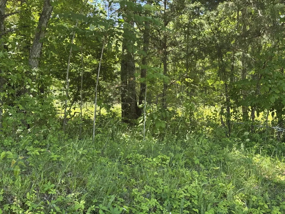 1402 Moore Lane Southside, TN 37171