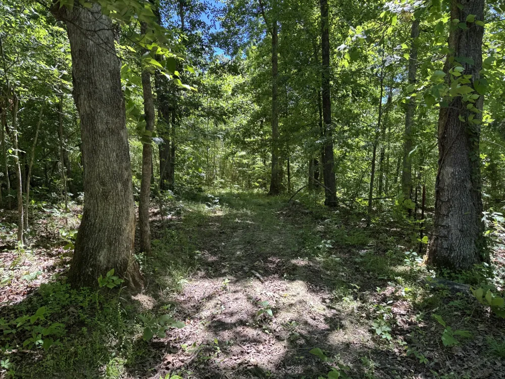 1402 Moore Lane Southside, TN 37171