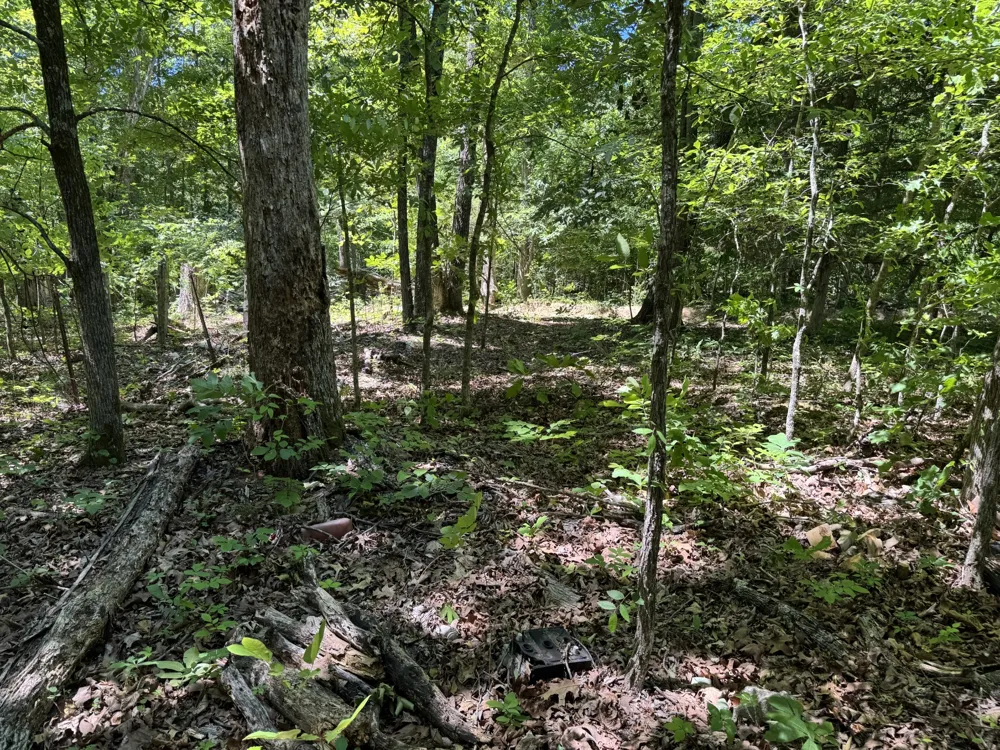 1402 Moore Lane Southside, TN 37171