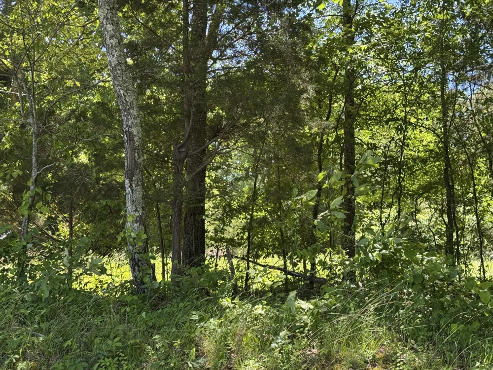 1402 Moore Lane Southside, TN 37171