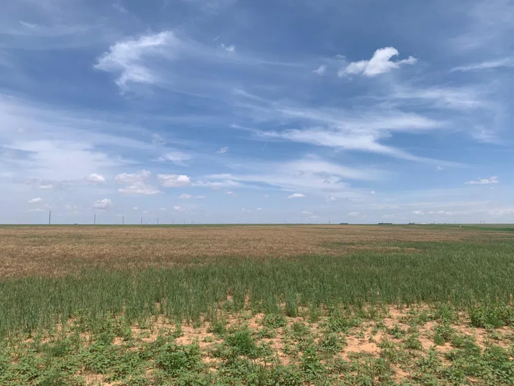 County Road 5200 Abernathy, TX 79311