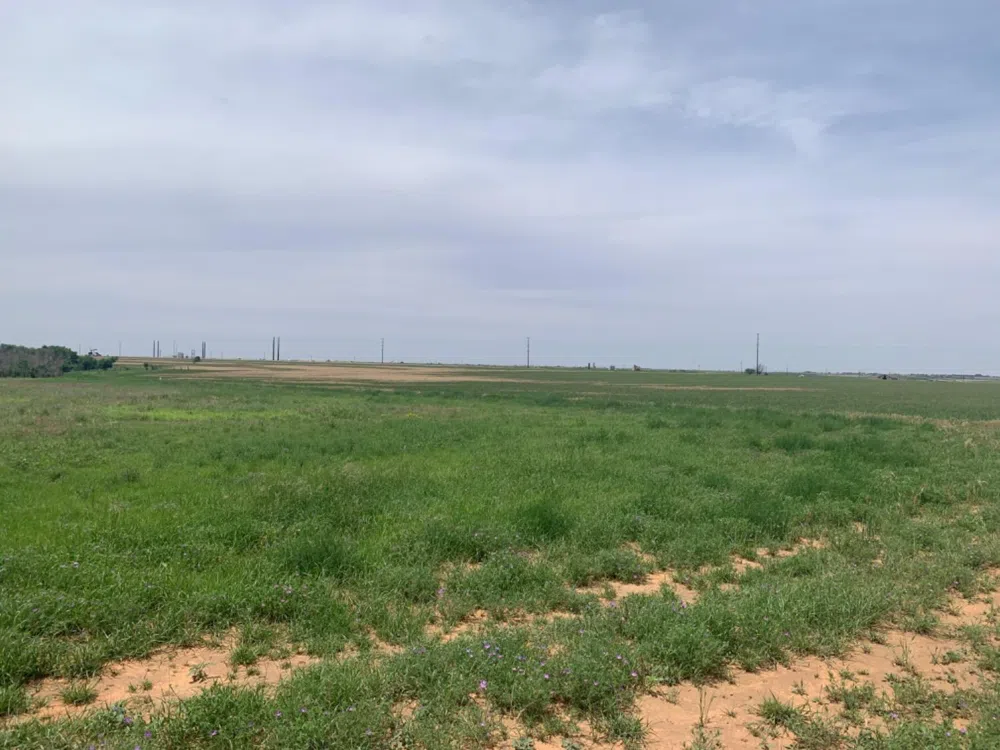 County Road 5200 Abernathy, TX 79311