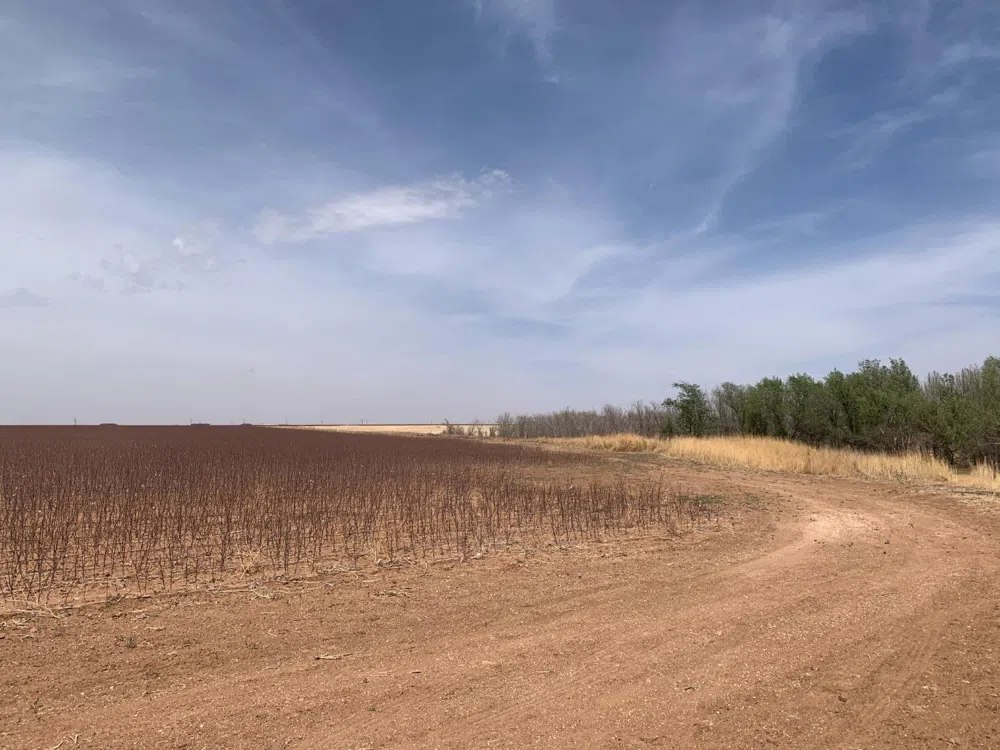 County Road 5200 Abernathy, TX 79311