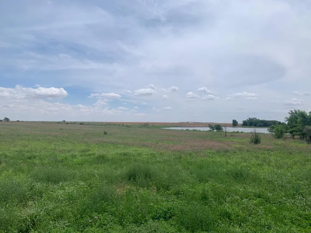 County Road 5200 Abernathy, TX 79311