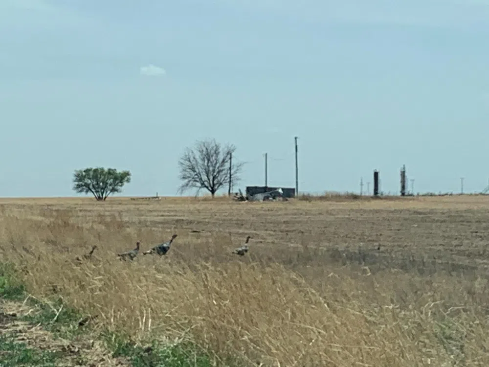 County Road 5200 Abernathy, TX 79311