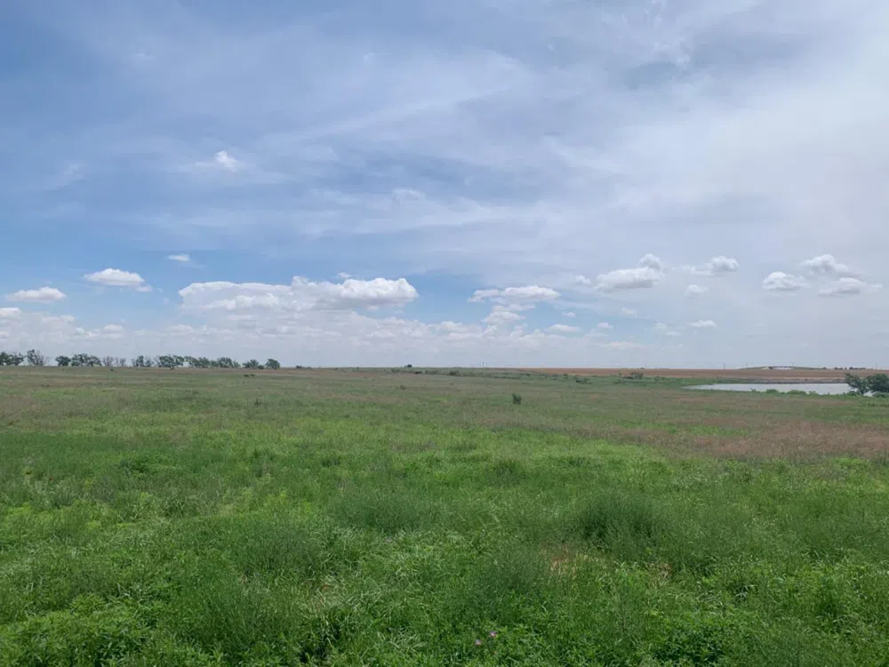 County Road 5200 Abernathy, TX 79311