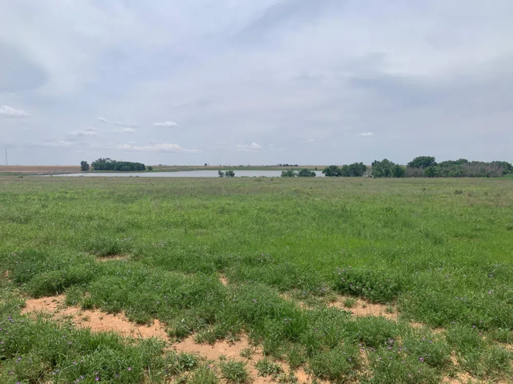 County Road 5200 Abernathy, TX 79311