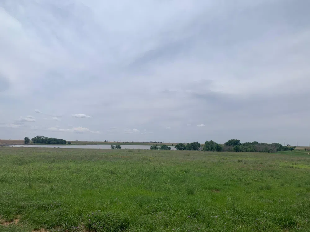 County Road 5200 Abernathy, TX 79311