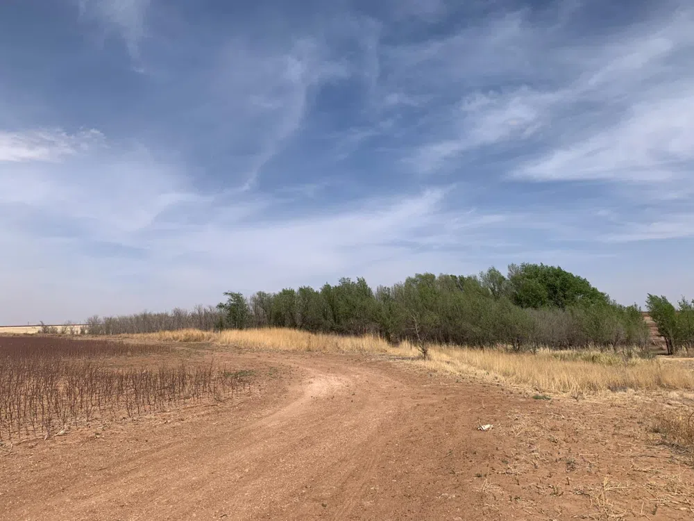 County Road 5200 Abernathy, TX 79311