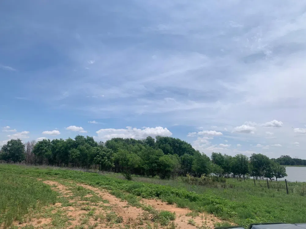 County Road 5200 Abernathy, TX 79311