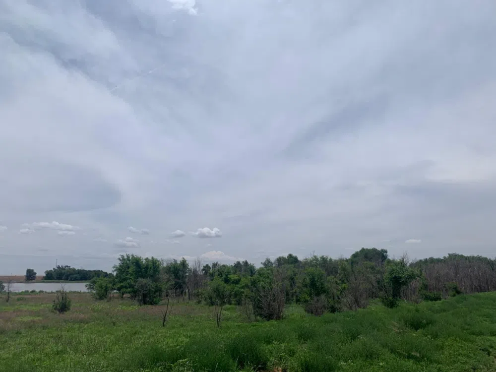 County Road 5200 Abernathy, TX 79311