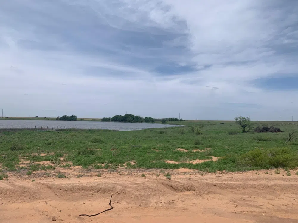 County Road 5200 Abernathy, TX 79311