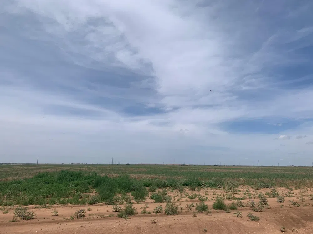 County Road 5200 Abernathy, TX 79311