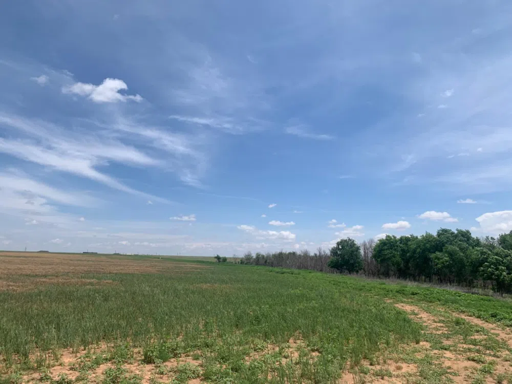 County Road 5200 Abernathy, TX 79311