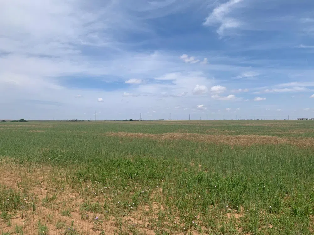 County Road 5200 Abernathy, TX 79311
