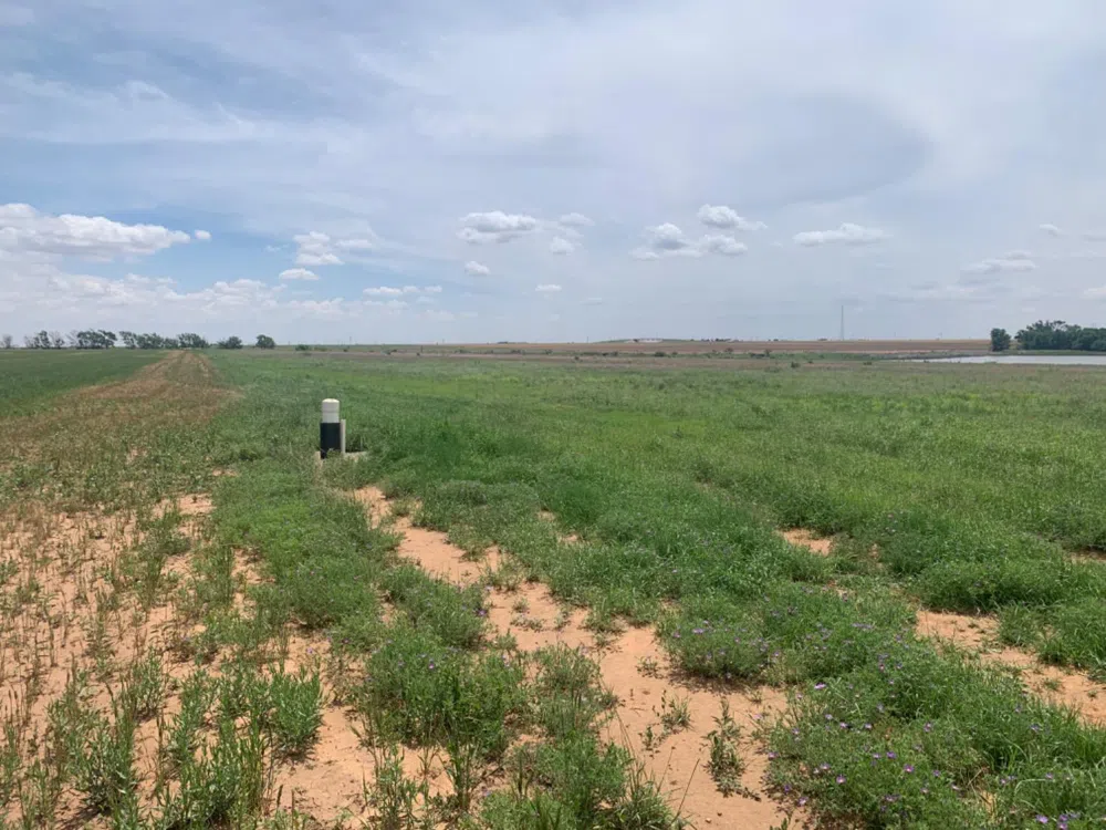 County Road 5200 Abernathy, TX 79311