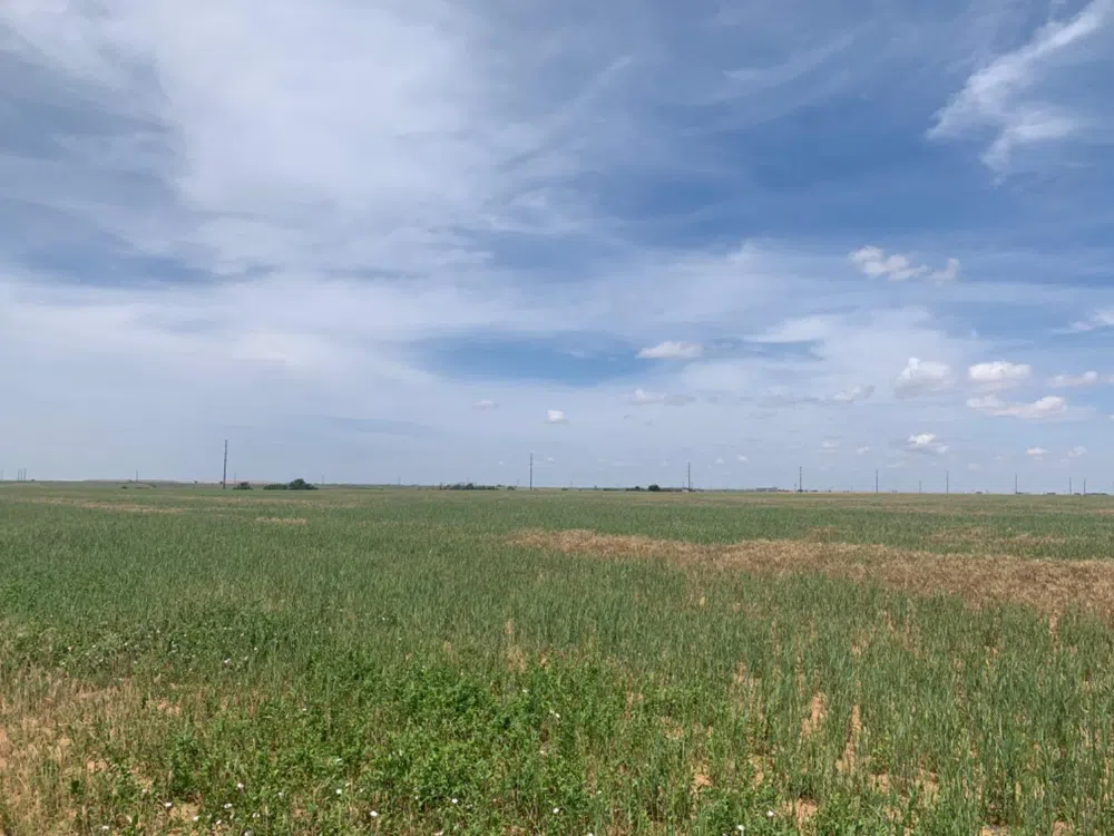 County Road 5200 Abernathy, TX 79311