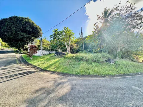 Road 185 Barrio Cedros ROAD 185 BARRIO CEDROS