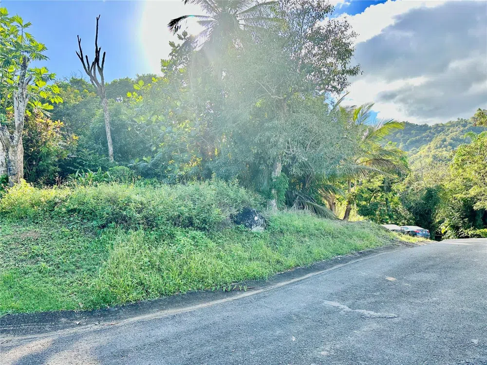 Road 185 Barrio Cedros ROAD 185 BARRIO CEDROS Carolina, PR 00987