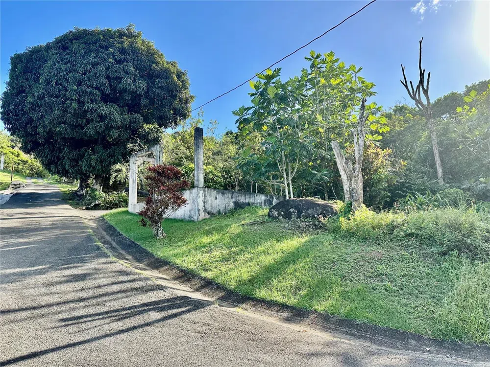 Road 185 Barrio Cedros ROAD 185 BARRIO CEDROS Carolina, PR 00987