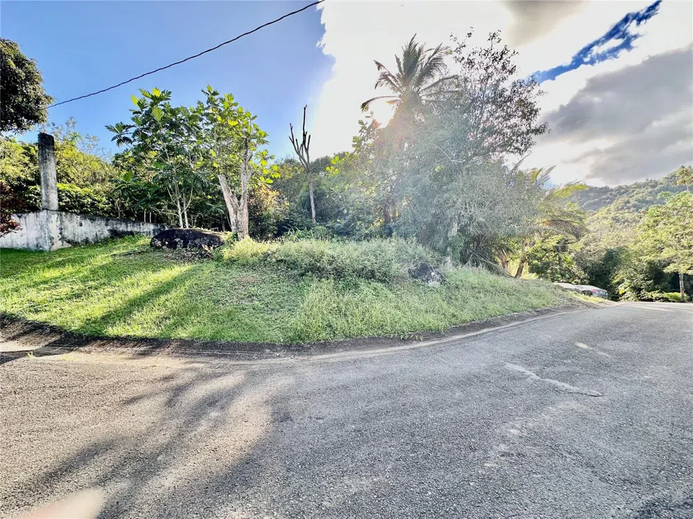 Road 185 Barrio Cedros ROAD 185 BARRIO CEDROS Carolina, PR 00987