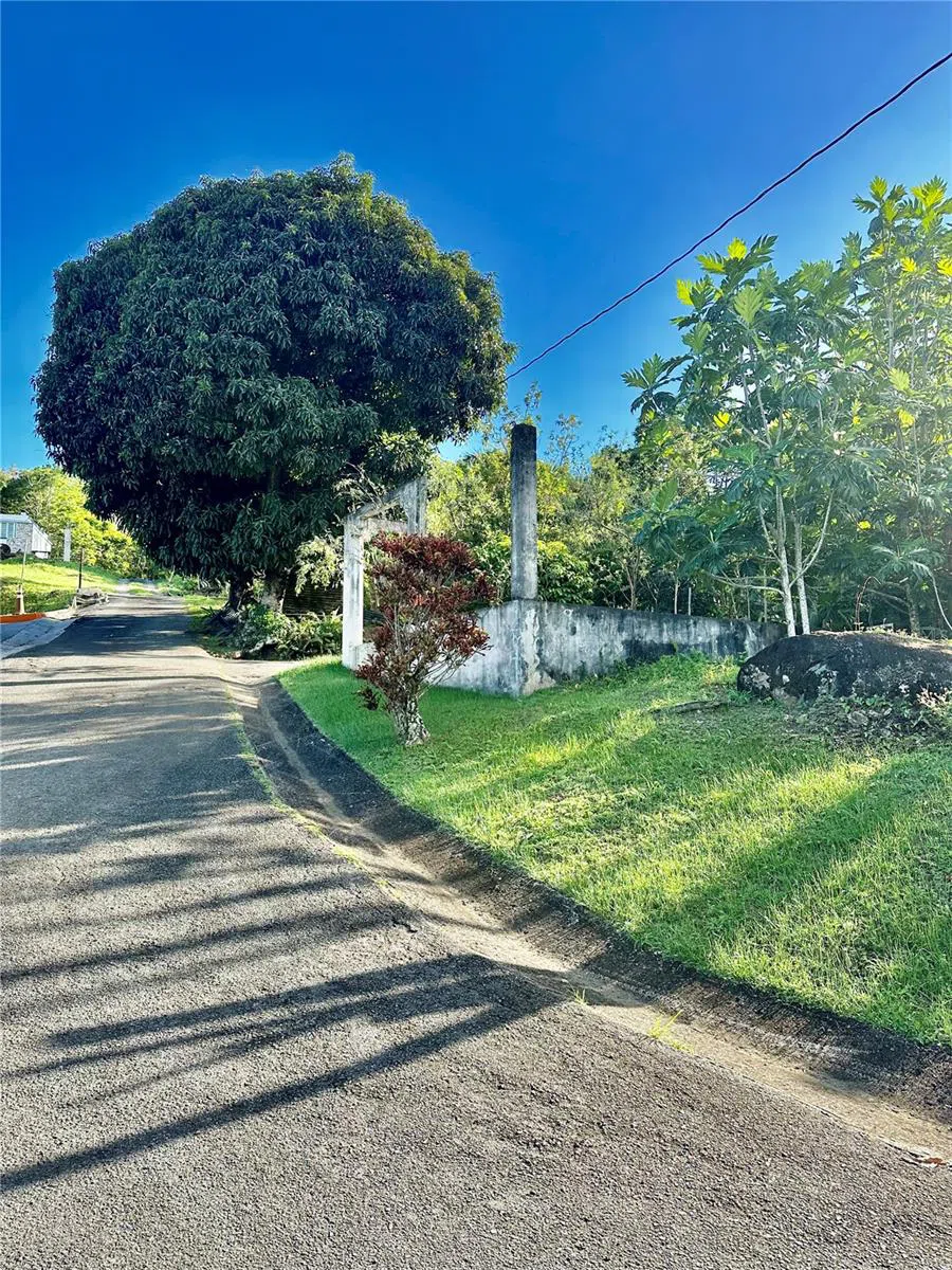 Road 185 Barrio Cedros ROAD 185 BARRIO CEDROS Carolina, PR 00987