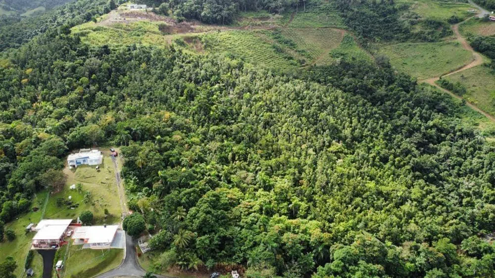 Road 185 Barrio Cedros ROAD 185 BARRIO CEDROS Carolina, PR 00987