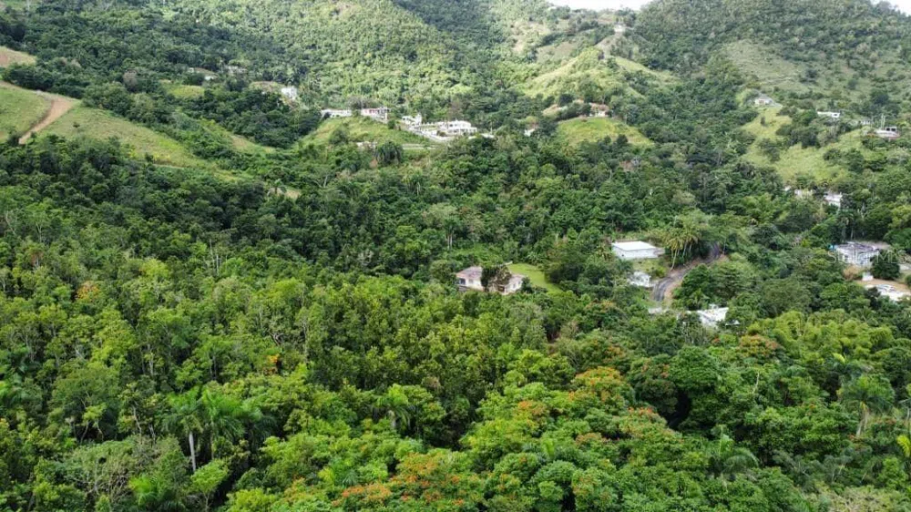 Road 185 Barrio Cedros ROAD 185 BARRIO CEDROS Carolina, PR 00987